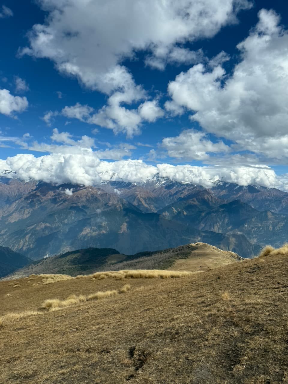 Khaliya Top alpine meadows and rolling bugyal